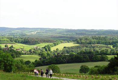 Walking Newlands Corner