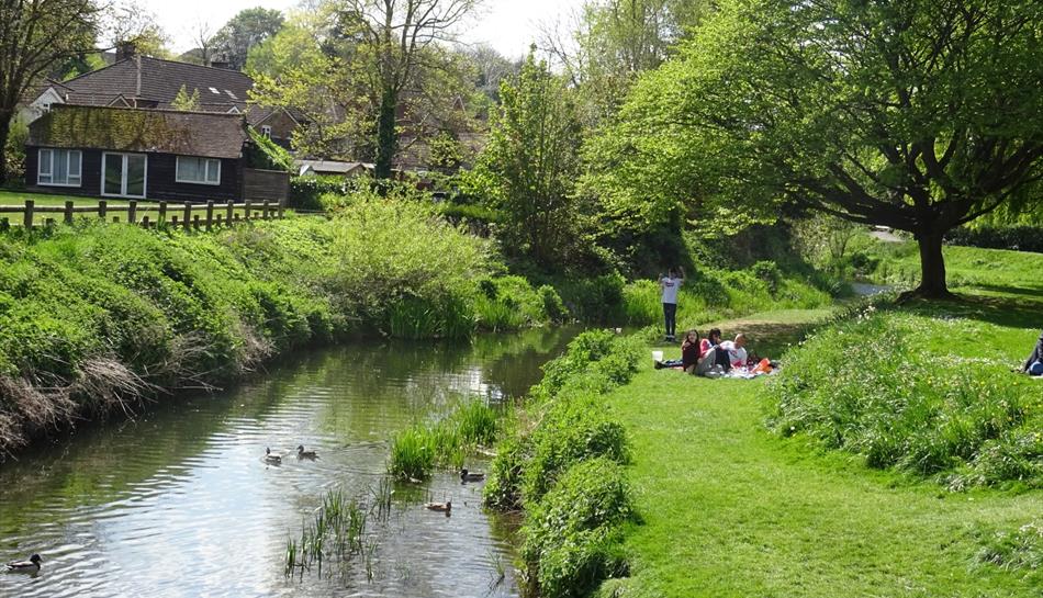 Gostrey Meadow