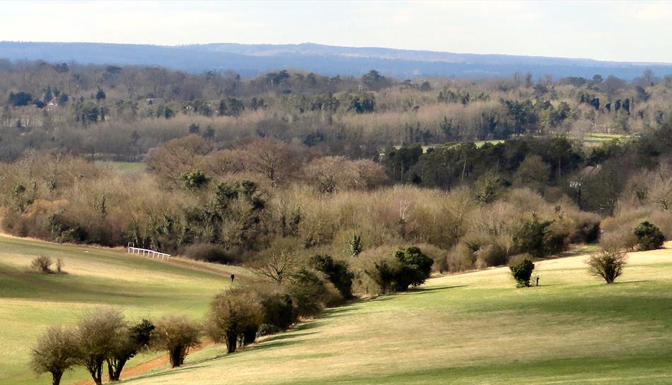 Epsom Downs Viewpoint in Epsom, Epsom and Ewell Visit Surrey