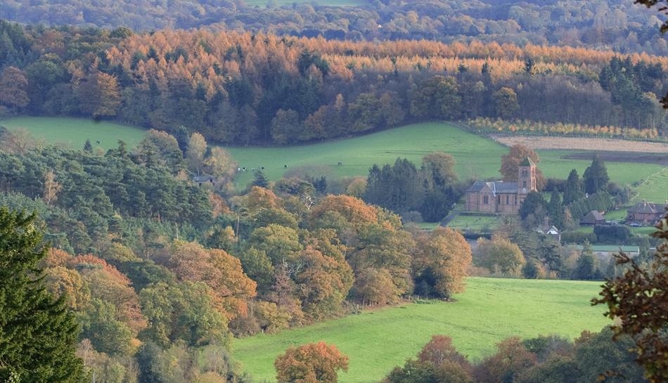 Newlands Corner Viewpoint in Guildford, Guildford Visit Surrey