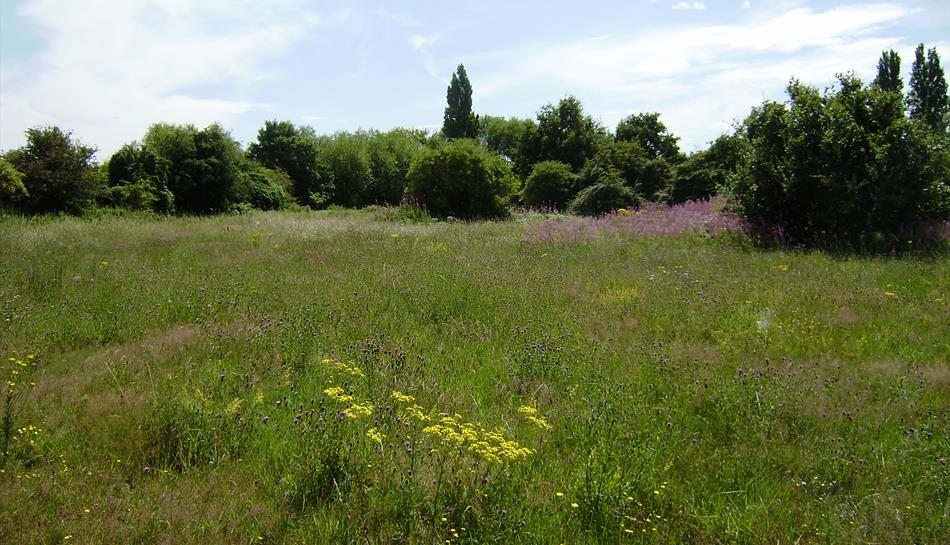 Shortwood Common