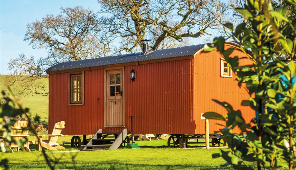 The Merry Harriers luxury Shepherd Huts