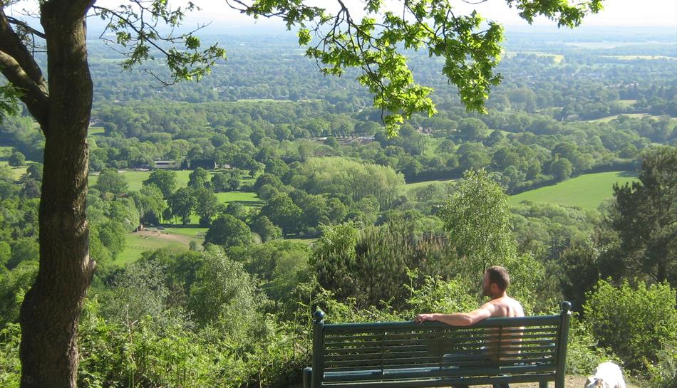 Viewpoint on Greensand Way