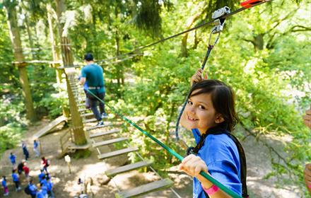 Go Ape Alice Holt