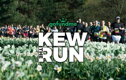 Kew Gardens 10k