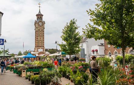 Epsom market