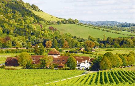 Box Hill - Copyright Blue Stevens Photography