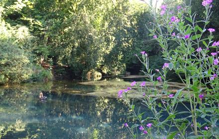 Silent Pool