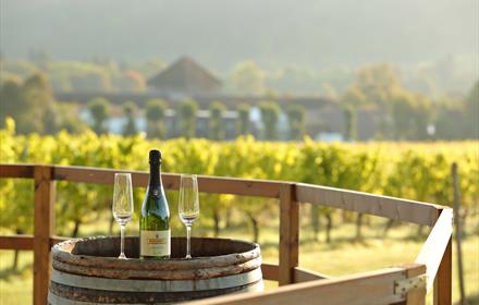 Denbies One Day Wine Enthusiast Workshop