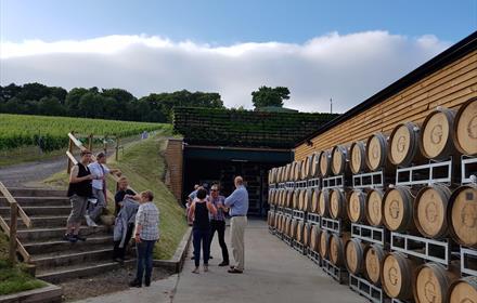 Greyfriars Vineyard