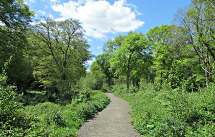 Holmwood Common