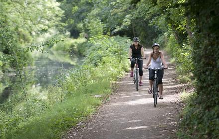 Cycling in Horsell Common