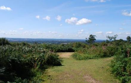 Limpsfield Common