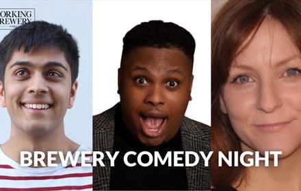 Comedians Jamie D'Souza, Lovell Smith and Jenny Laville