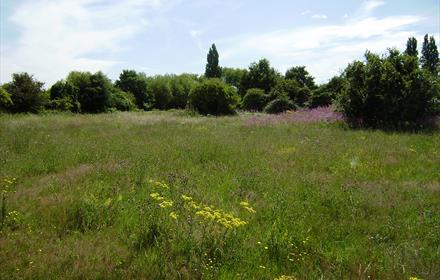 Shortwood Common