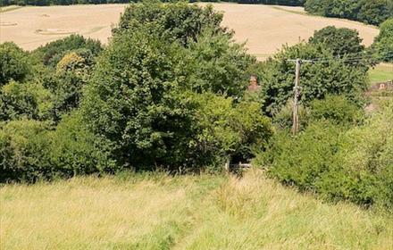 Hambledon Village and Speltham Down