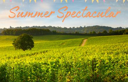Summer Spectacular at Denbies