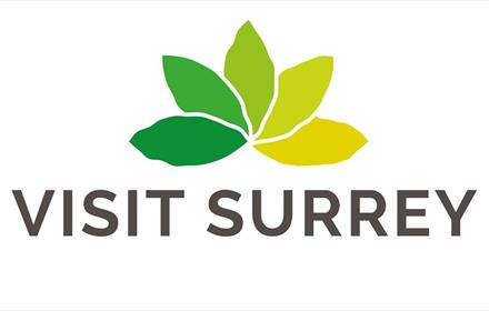 VISIT SURREY LOGO
