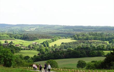 Walking Newlands Corner