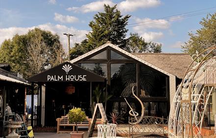 The Palm House at The Packhouse