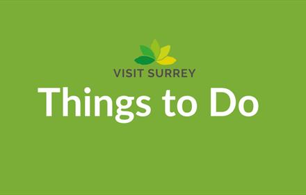 Visit Surrey Things to Do Logo