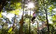 Go Ape Alice Holt