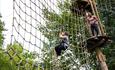 Go Ape Alice Holt
