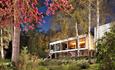 The Homewood
