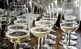 Albury Glasses