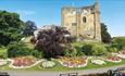 Guildford Castle Grounds = Image: Blue Stevens Photography