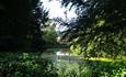 Silent Pool
