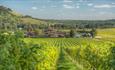 Denbies
