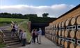 Greyfriars Vineyard