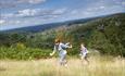 Hindhead Commons and the Devil’s Punch Bowl - National Trust