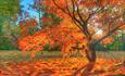 Guildford Arts Summer Exhibition: Yvonne Arnaud Art