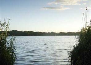 Frensham Ponds