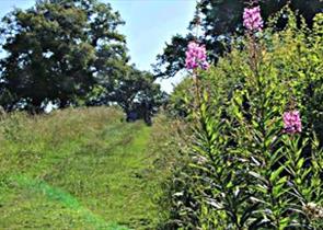 Harewoods and Sandhills