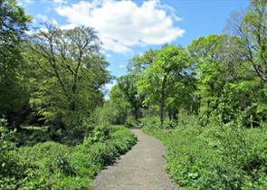 Holmwood Common