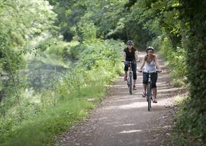 Cycling in Horsell Common