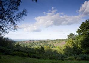 Devil's Punch Bowl - National Trust