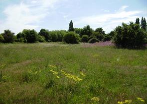 Shortwood Common