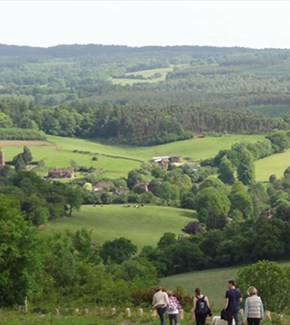 Walking at Newlands Corner, Surrey