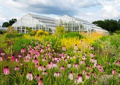 Glasshouse landscape in Summer, RHS Wisley Garden 
 Credit: RHS / Joanna Kossak
