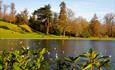 Claremont Landscape Garden - copyright National Trust credit G Kitson