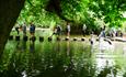 Stepping Stones, River Mole, Box Hill, Dorking
Copyright National Trust
