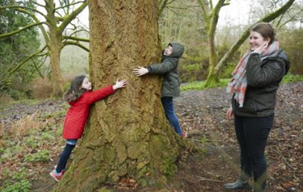 two children stretching around the trunk of a very large tree