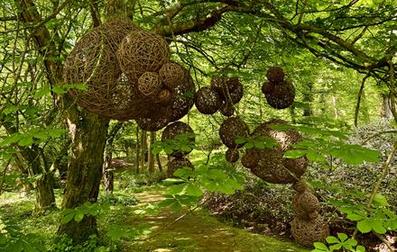 Nestled under a huge leafy canopy, a cluster of woven willow balls (from football size to nearly 6 feet across) cluster together in an organic form.