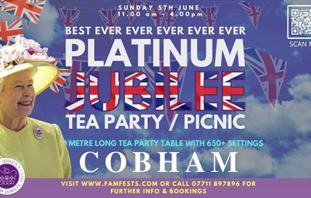Best Ever Jubilee Party Cobham