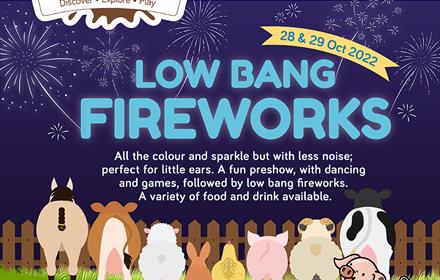 Low Bangs Fireworks at Godstone Farm