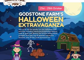 Halloween fun at Godstone Farm October half ter,